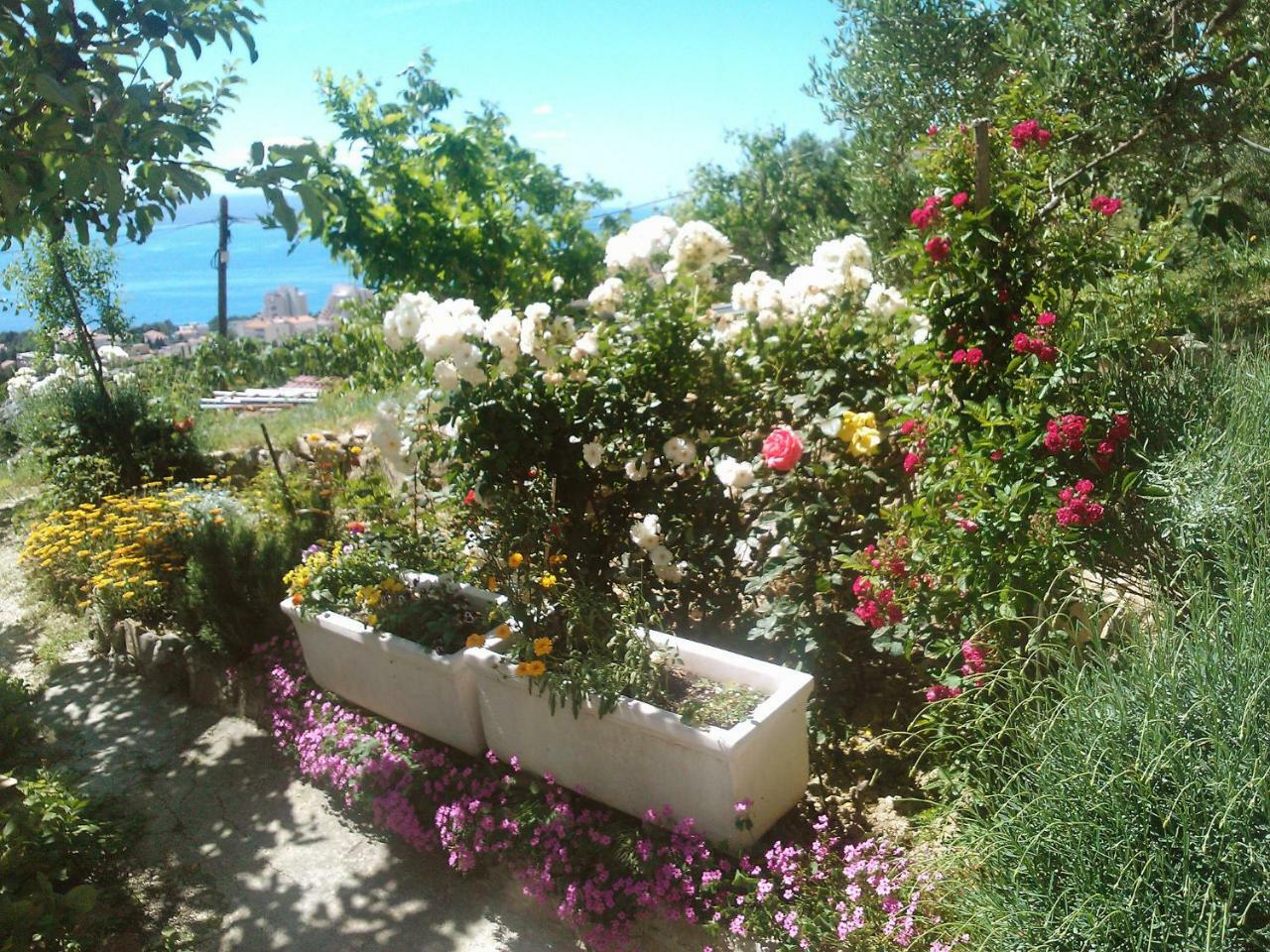 Apartment Mira-1 By Interhome Makarska Exterior foto